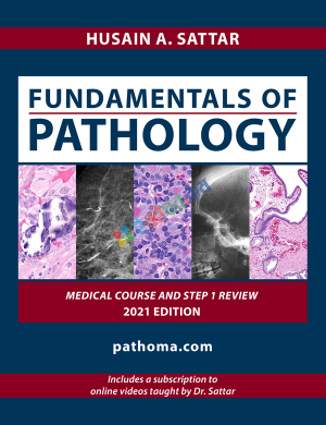 Fundamentals of Pathology Pathoma.Com (Color)