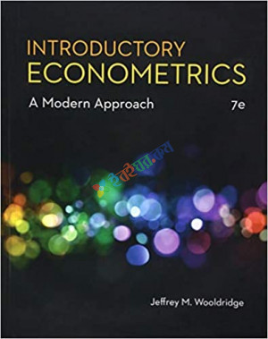 Introductory Econometrics (B&W)