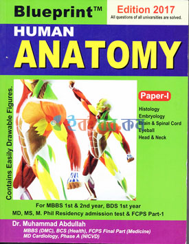 Blueprint Human Anatomy Paper 1