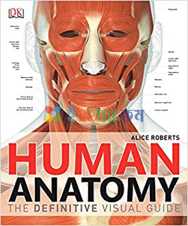 Human Anatomy (Color)