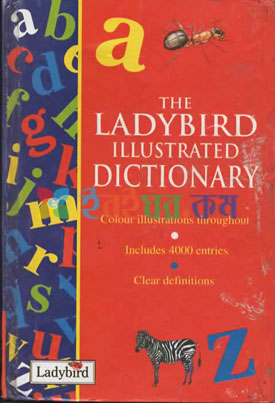 The Ladybird Illustrated Dictionary