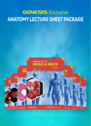 Genesis Anatomy Lecture Sheet Package 13th Edition