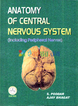Anatomy of Central Nervous System (eco)