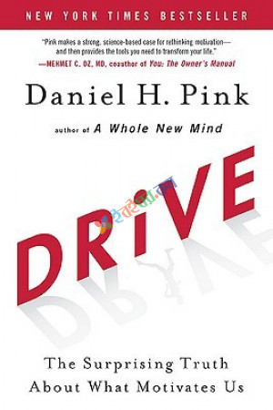 Drive: The Surprising Truth About What Motivates Us (eco)