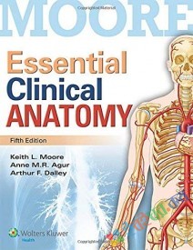 Essential Clinical Anatomy (eco)