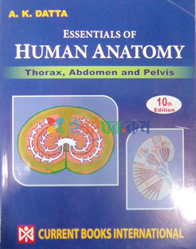 Essentials of Human Anatomy Volume 1-3 (Color)