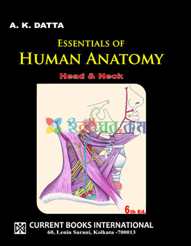 Essentials of Human Anatomy (Head & Neck) (Color)