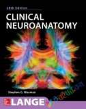 Textbook of Clinical Neuroanatomy (Color)