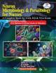 Practical Pathology & Microbiology for Nurses