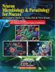 Practical Pathology & Microbiology for Nurses