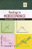 Introductory Econometrics (B&W)