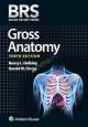 Basic Human Anatomy &Physiology