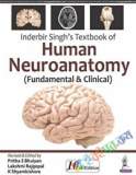 Textbook of Clinical Neuroanatomy (Color)