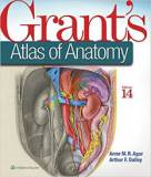Gray's Anatomy For Students (Color)