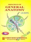 Anatomical Kinesiology, Revised (Color)