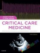 Critical Care Medicine (eco)