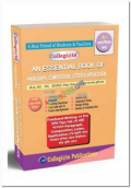 Collegiate An Essential Book of Paragraph, Composition, Letter and Application