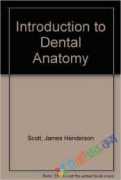 Introduction to Dental Anatomy (eco)