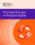 Process Groups Practice Guide for the PMP Exam(B&W)