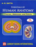 Essentials of Human Anatomy (Thorax, Abdomen and Pelvis)