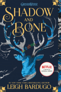 Shadow and Bone: (The Shadow and Bone Trilogy) (eco)