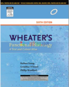 Wheater's Functional Histology A Text and Colour Atlas (Color)