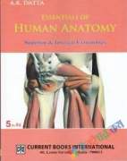 Essentials of Human Anatomy ( Superior & Inferior Extremities ) (eco)