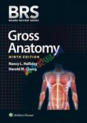 BRS Gross Anatomy (Color Copy)