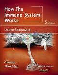 How the Immune System Works (Color)
