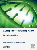 Long Non-coding RNA (Color)