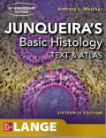 Junqueira's Basic Histology Text and Atlas (Color)