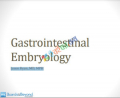 Boards and Beyond Gastrointestinal Embryology (color)
