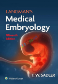 Langman's Medical Embryology (Color)