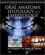 Oral Anatomy, Histology & Embroylogy (eco)