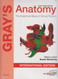Gray's Anatomy The Anatomical Basis of Clinical Practice