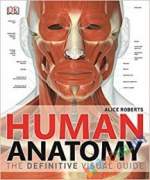 Human Anatomy (Color)