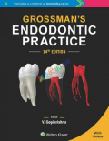 Grossman’s Endodontic Practice (Color)