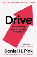 Drive The Surprising Truth About What Motivates Us (eco)