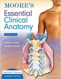 Moore's Essential Clinical Anatomy (Color)