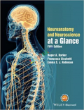 Neuroanatomy and Neuroscience at a Glance (Color)