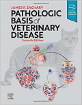 Pathologic Basis of Veterinary Disease (Color)