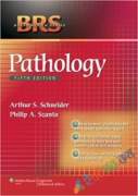 BRS Pathology (eco)