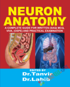 Neuron Anatomy A Complete Guide for Written SAQ, MCQ, Viva, OSPE and Practical Examination