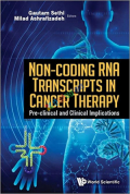 Non-coding Rna Transcripts in Cancer Therapy (Color)
