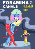 Visual Mnemonics Foramina Canals (Color)