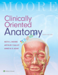 Moore Clinically Oriented Anatomy (South Asian Edition) (eco)