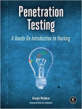 Penetration Testing A Hands On Introduction to Hacking (White Print)