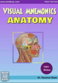 Visual Mnemonics Anatomy (Color)