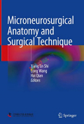 Microneurosurgical Anatomy and Surgical Technique (Color)