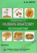 Essentials of Human Anatomy Neuroanatomy (Color)